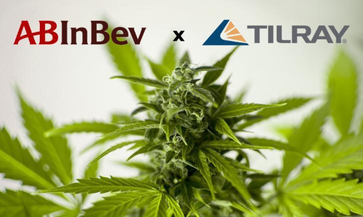 AB InBev en Tilray partnerschap